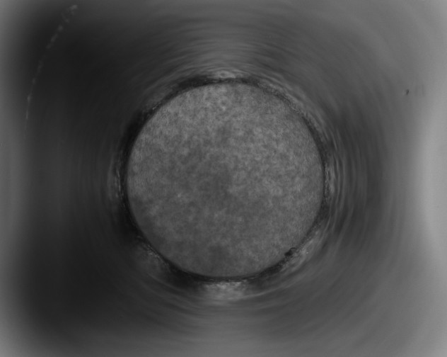 X0000087580422200705181204