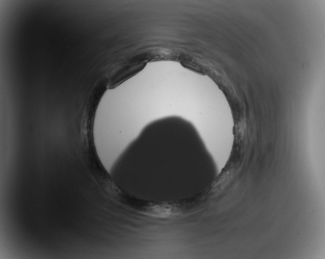 X0000087580423200705181204