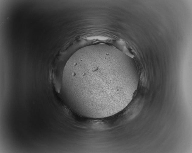 X0000087580424200705181204