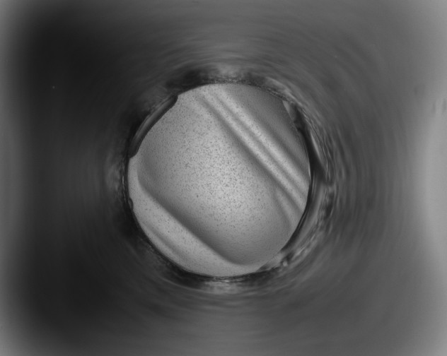 X0000087580425200705181204