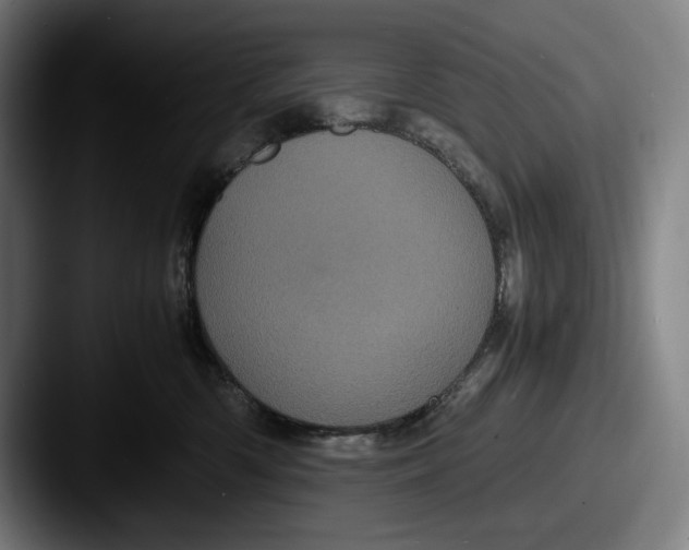 X0000087580426200705181204