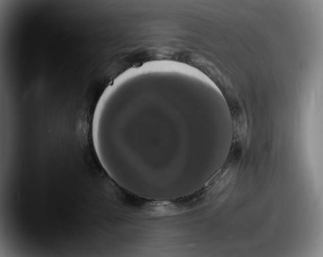 X0000087580427200705181204