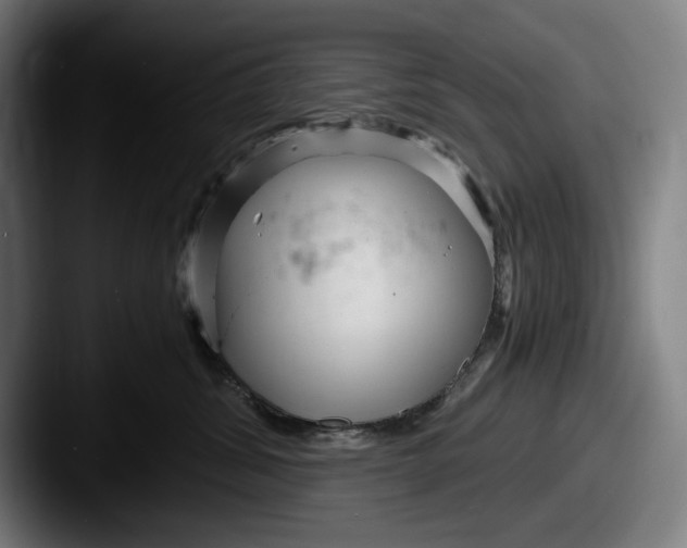 X0000087580428200705181204