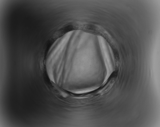 X0000087580429200705181204