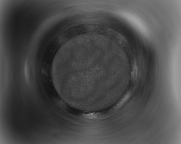 X0000087580430200705181204