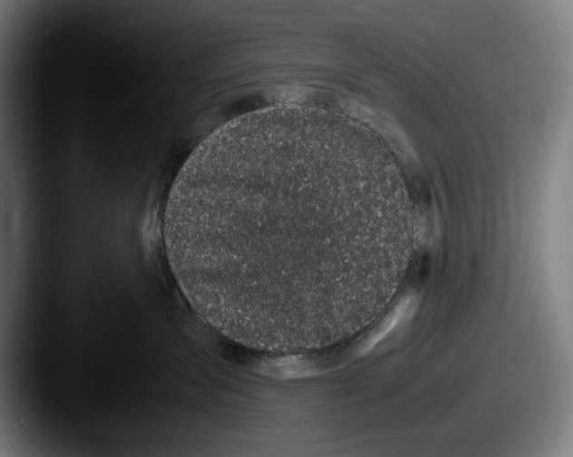 X0000087580431200705181204