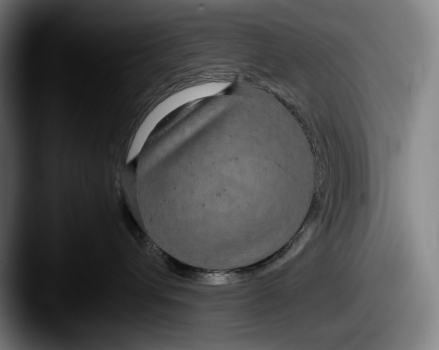 X0000087580432200705181204