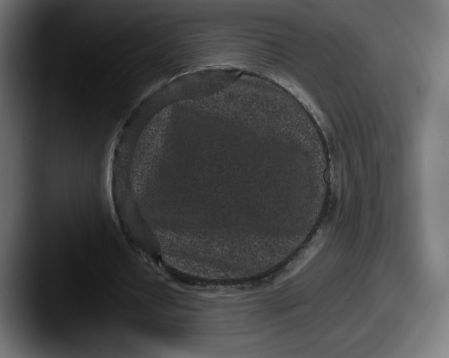 X0000087580434200705181204