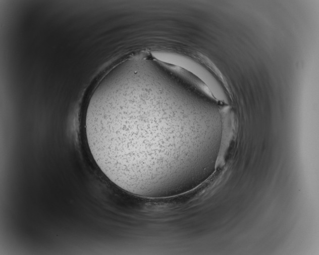 X0000087580435200705181204