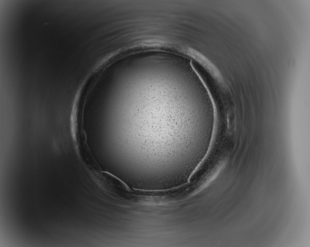 X0000087580436200705181204