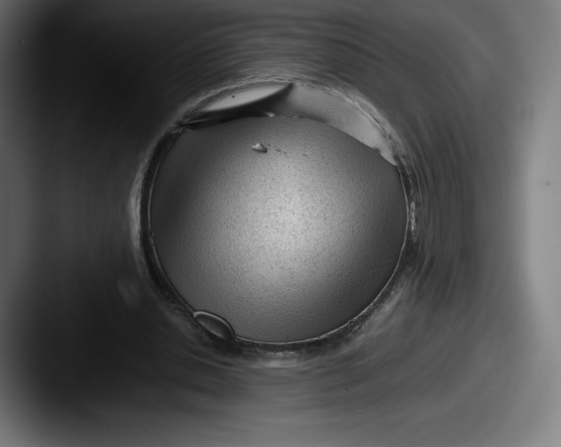 X0000087580438200705181204