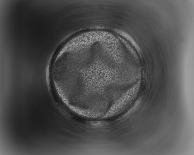 X0000087580439200705181204