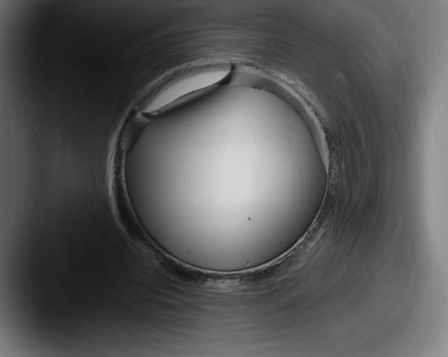 X0000087580440200705181204