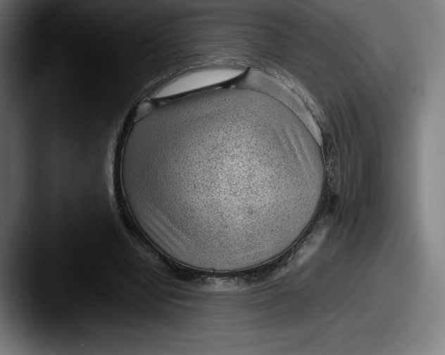 X0000087580442200705181204