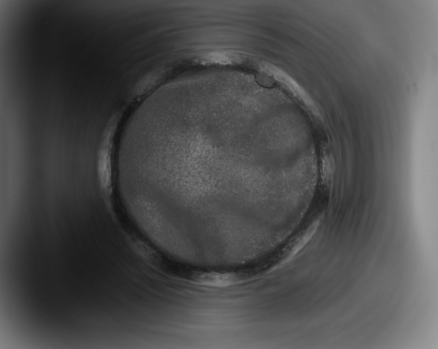 X0000087580444200705181204