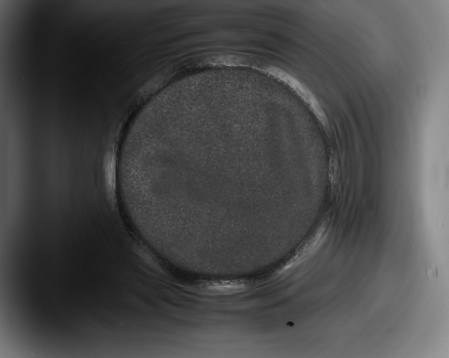 X0000087580445200705181204