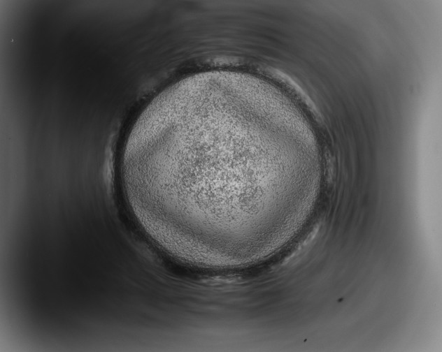 X0000087580447200705181204