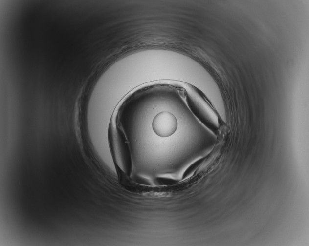 X0000087580448200705181204