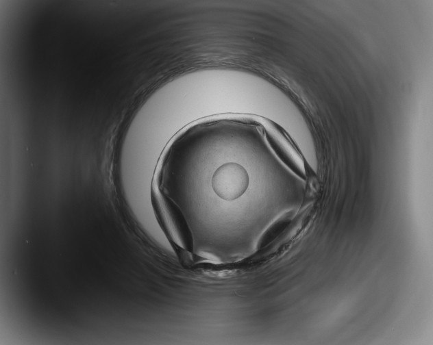 X0000087580450200705181204