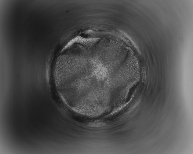 X0000087580451200705181204