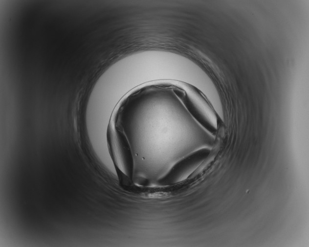 X0000087580452200705181204