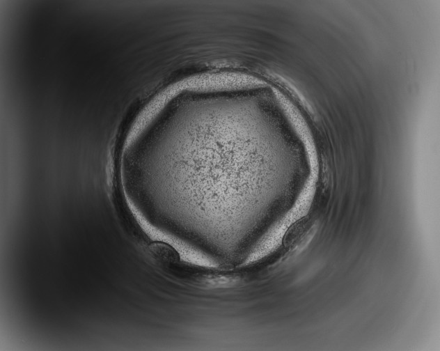 X0000087580453200705181204