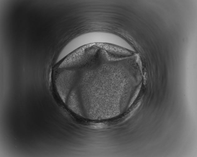X0000087580454200705181204