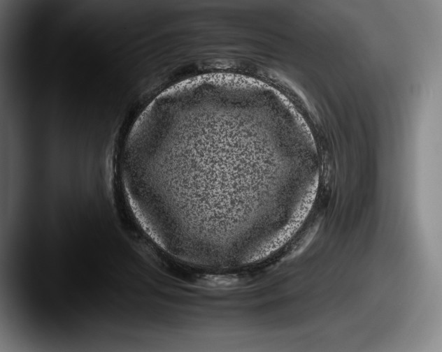 X0000087580455200705181204