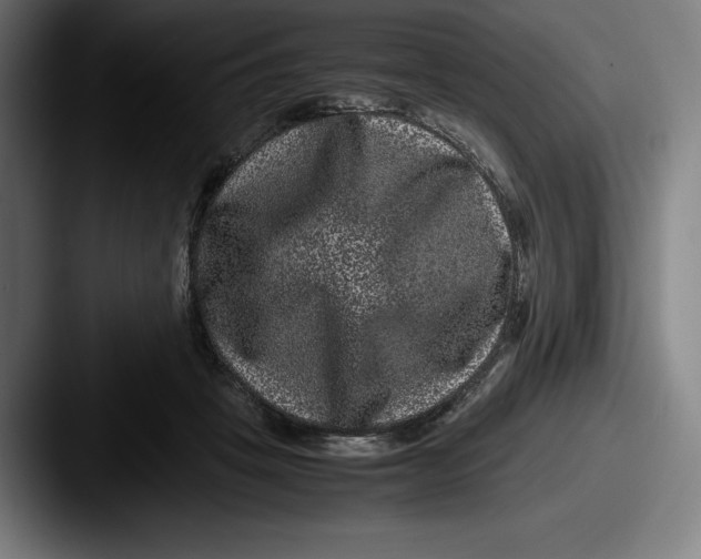 X0000087580457200705181204