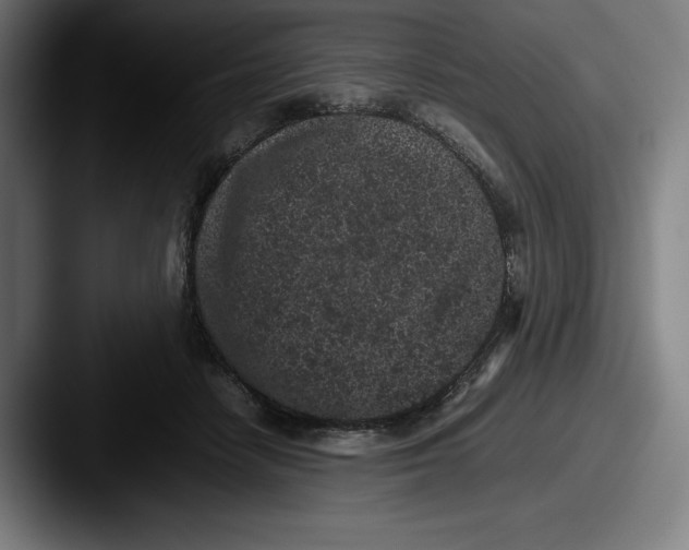 X0000087580458200705181204