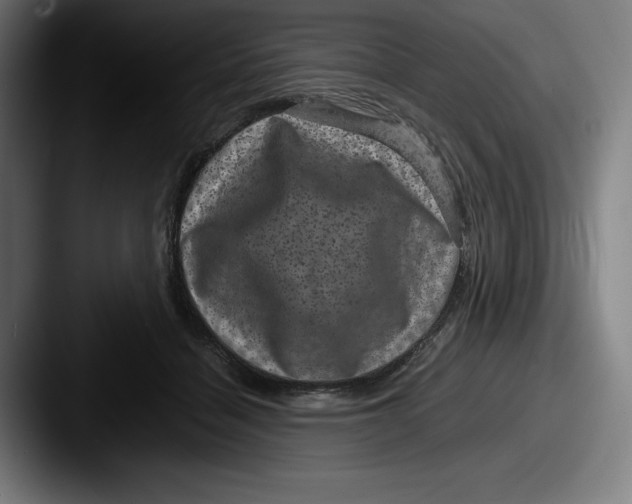 X0000087580460200705181204