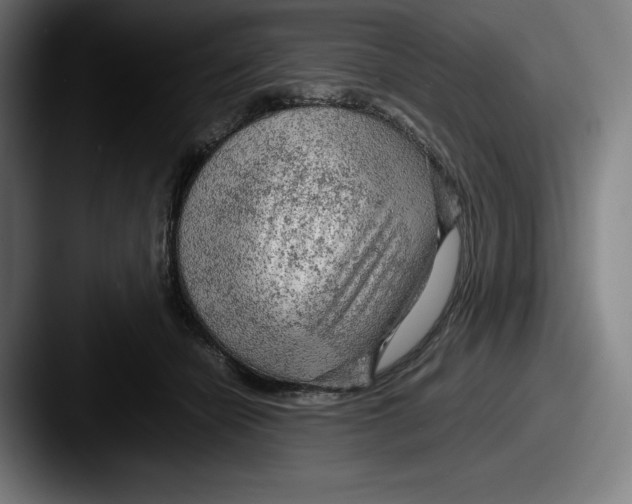 X0000087580462200705181204