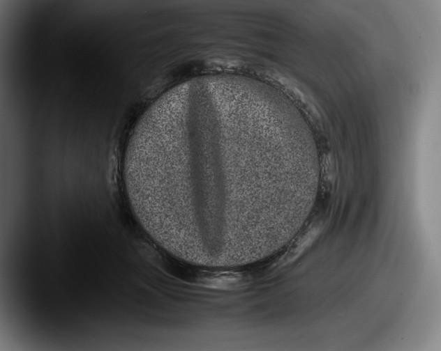 X0000087580463200705181204
