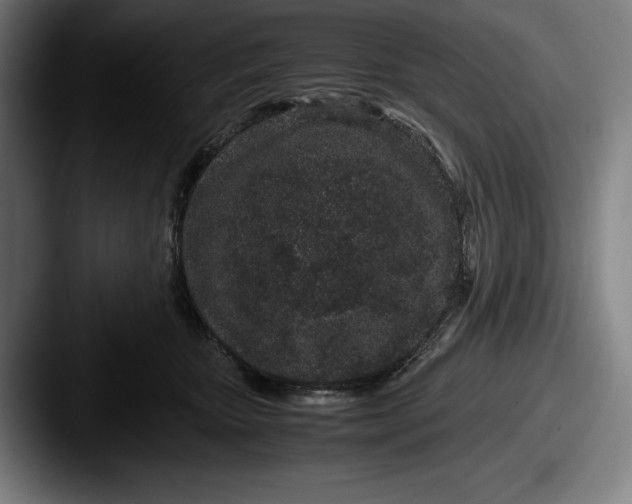 X0000087580467200705181204