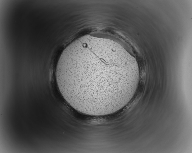 X0000087580468200705181204