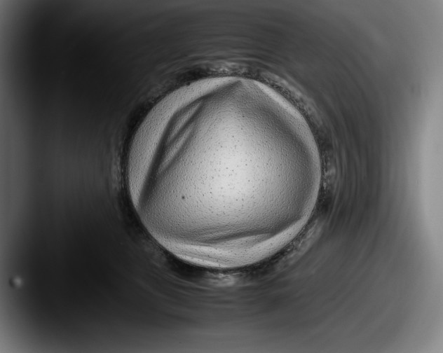X0000087580469200705181204