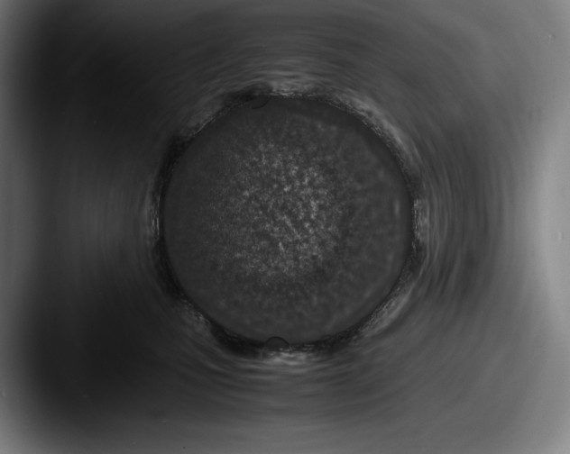 X0000087580471200705181204