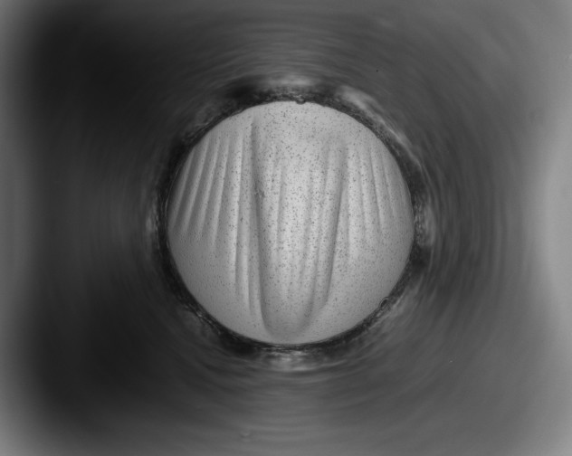 X0000087580472200705181204