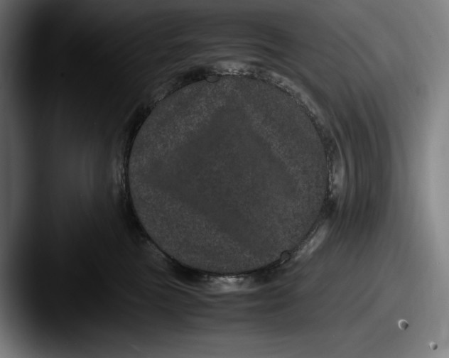 X0000087580473200705181204