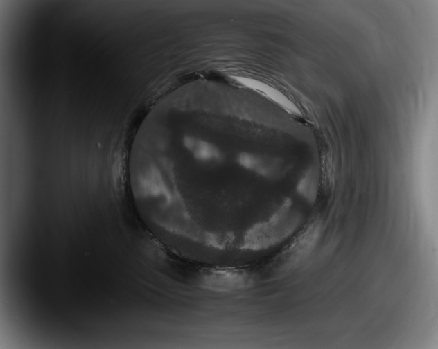 X0000087580475200705181204