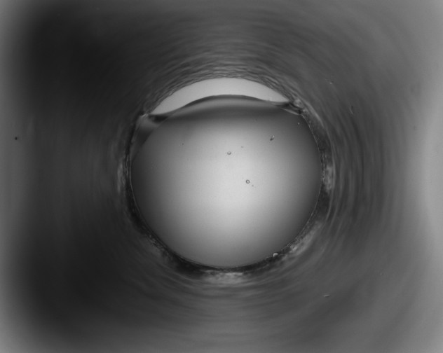 X0000087580476200705181204