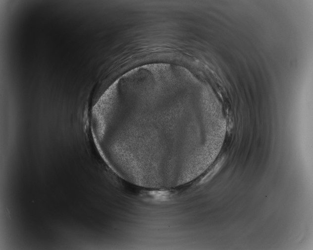 X0000087580478200705181204