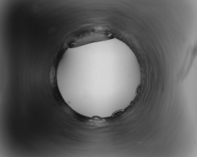 X0000087580480200705181204