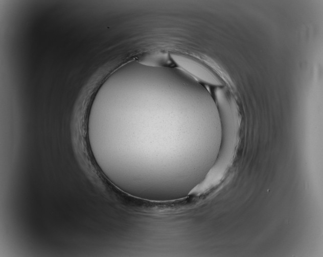 X0000087580481200705181204
