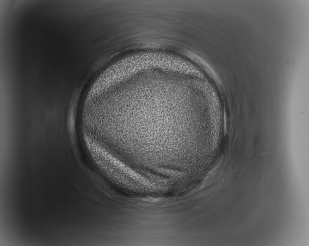 X0000087580483200705181204