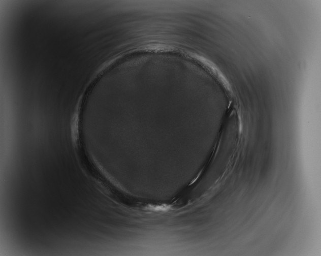 X0000087580484200705181204