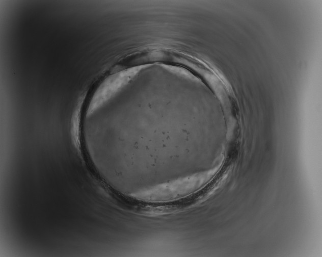 X0000087580485200705181204