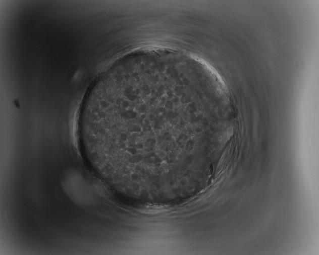 X0000087580487200705181204