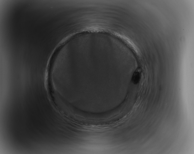 X0000087580488200705181204