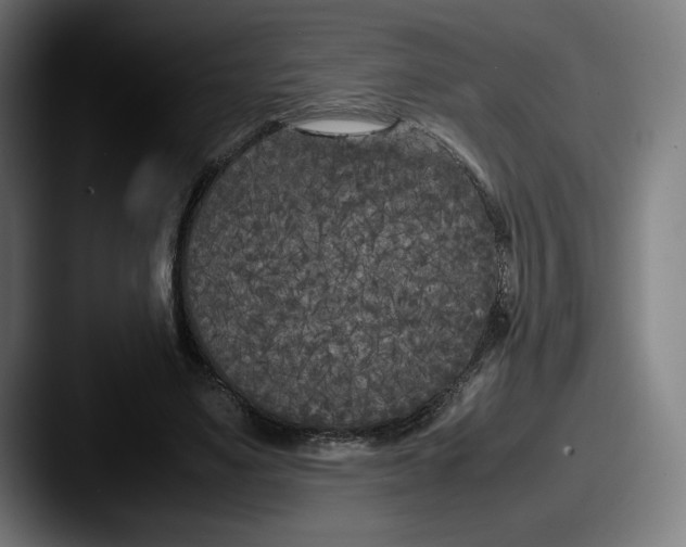 X0000087580491200705181203